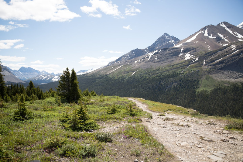 Trail Credit: Parks Canada/ OliviaRobinson