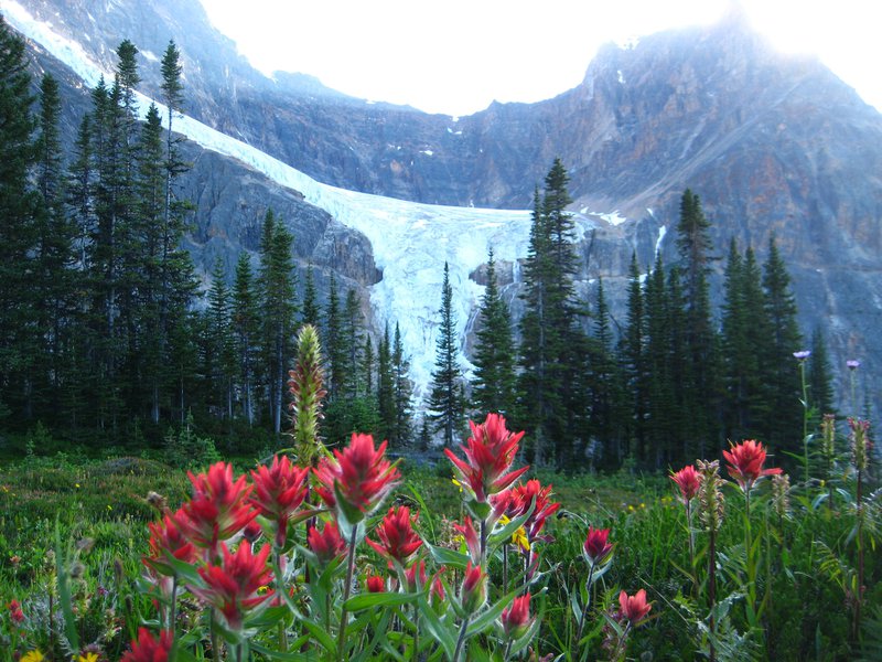 Mt Edith Cavell - Jasper Hikes and Tours