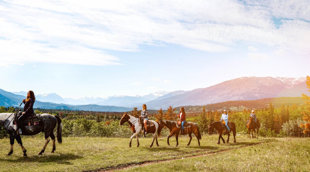 stables-top-medium.jpg stables-top-medium.jpg