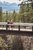 Maligne Canyon - fifth bridge