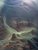 172_TJFallFlight_09282021_CR_LuukWijk_@LuukWijkPhoto.jpg
