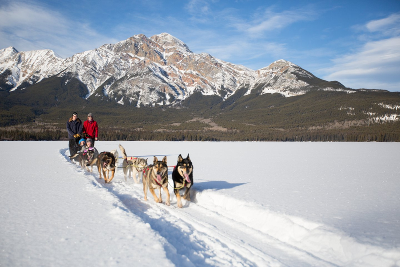 Dogsledding - Pyramid Lake
