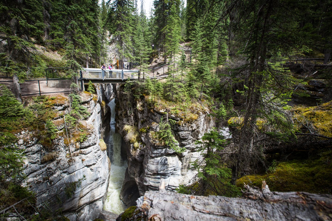 Walks & Talks - bridge