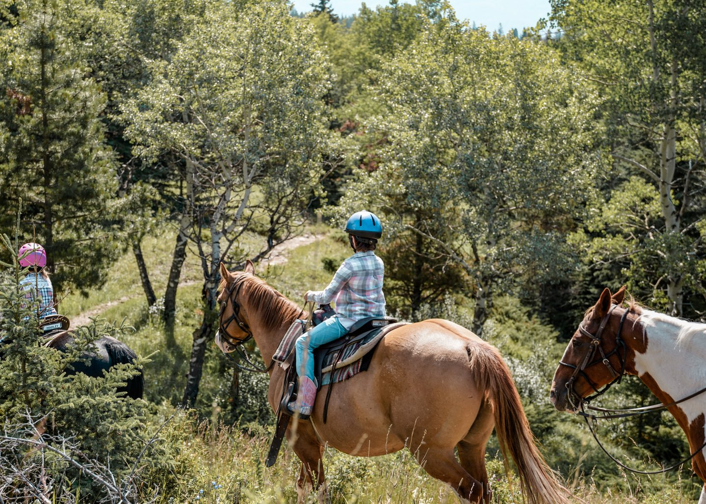 Horseback Riding - Jasper Riding Stables