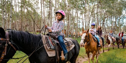 Jasper Riding Stables- Horseback Riding Jasper Riding Stables- Horseback Riding