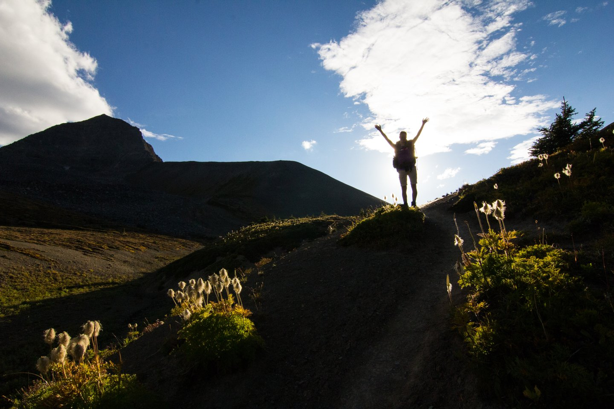 Skyline Trail - Credit: Ryan Bray