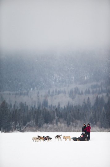 Cold Fire Creek Dog Sledding Credit: Cory Johnn