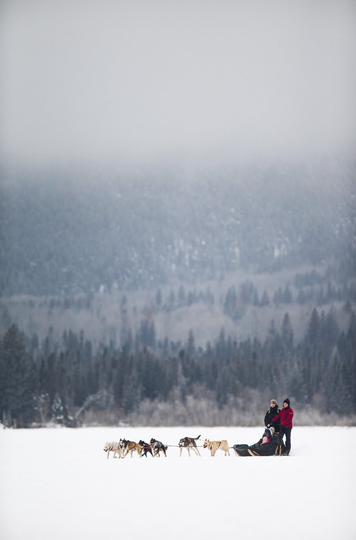 Cold Fire Creek Dog Sledding Credit: Cory Johnn Cold Fire Creek Dog Sledding Credit: Cory Johnn