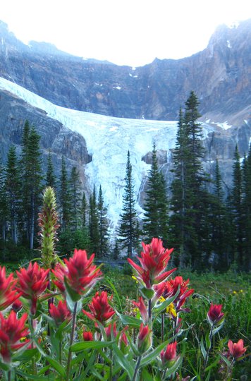 Mt Edith Cavell - Jasper Hikes and Tours