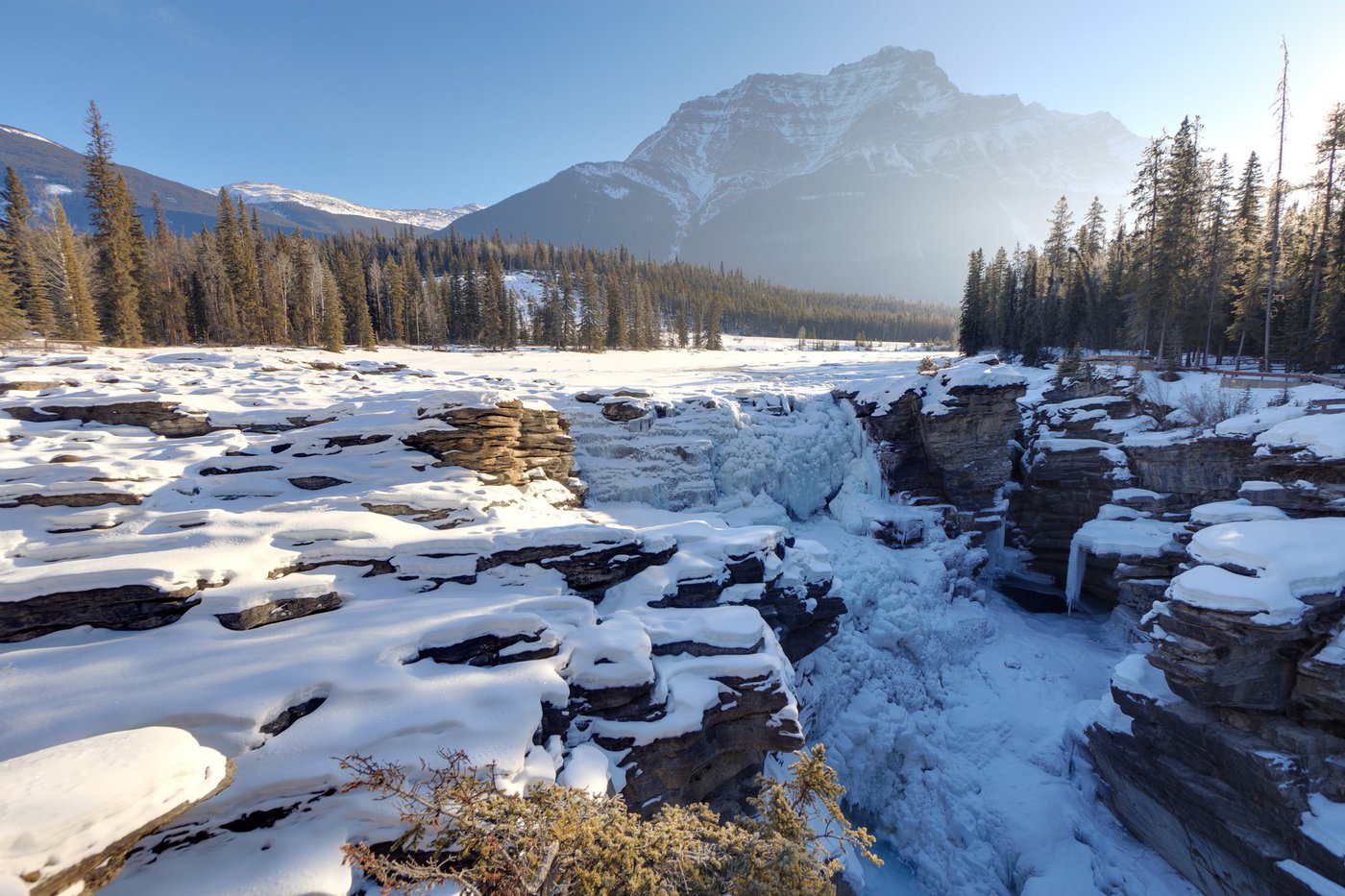 AthabascaFalls_CRRogierGruys-large.jpg