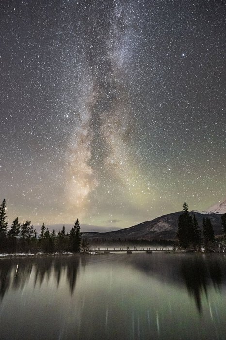 Stargazing Jasper