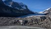 Ecotours Jasper.jpg