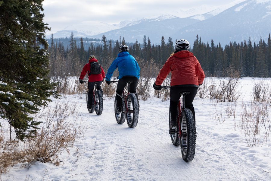 Fat Bike Tours Jasper