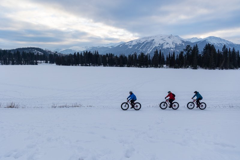 Fat Bike Tours Jasper