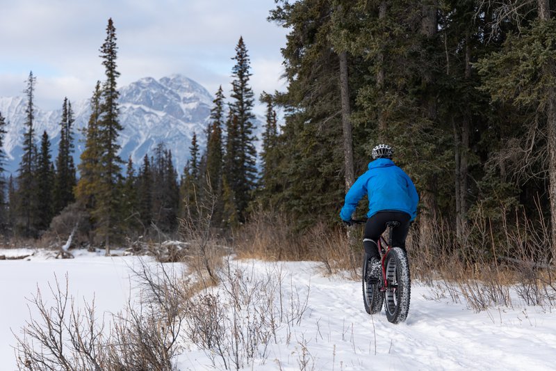 Fat Bike Tours Jasper