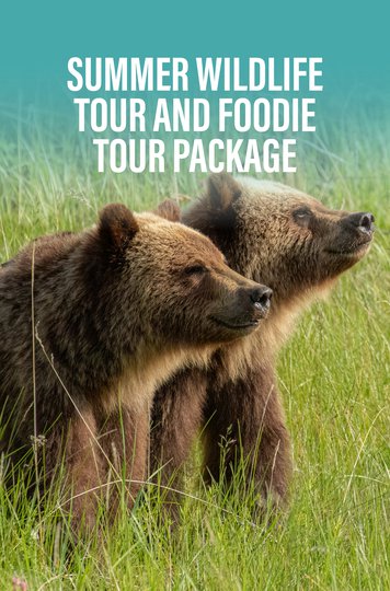 Foodie_Wild.jpg Foodie_Wild.jpg