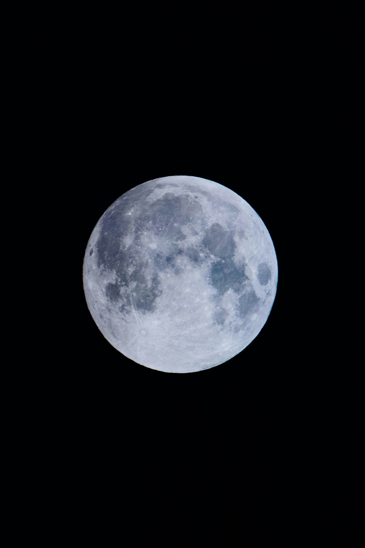 Full Moon Hike with Friends of Jasper National Park.jpg