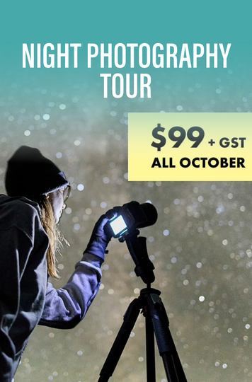 Harvest (2).png Harvest (2).png