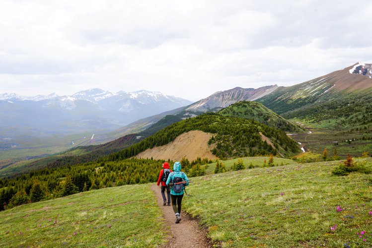 Hiking Spring.jpg