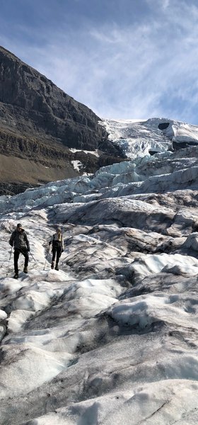 Athabasca Glacier Tour