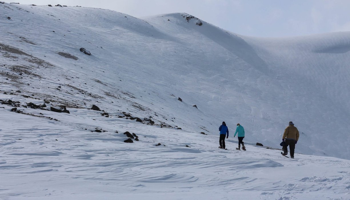 Group Snowshoeing