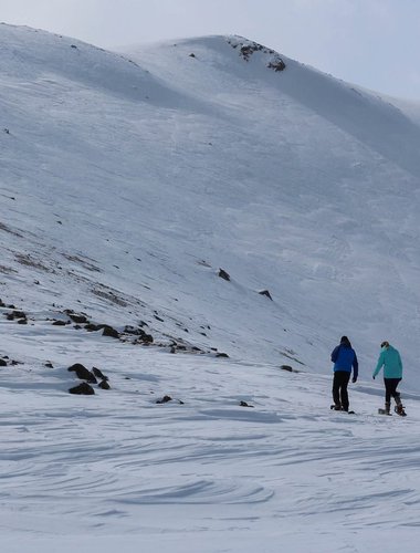Group Snowshoeing