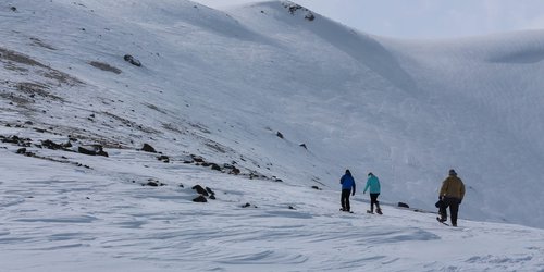 Group Snowshoeing