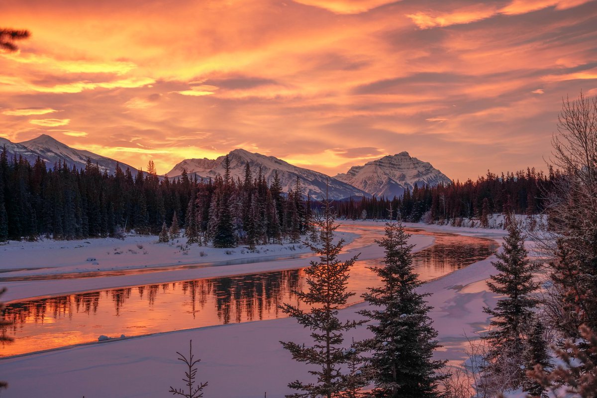 IcefieldParkway_sunrise-large.jpg