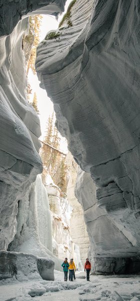 Icewalk_MaligneCanyon-large.jpg