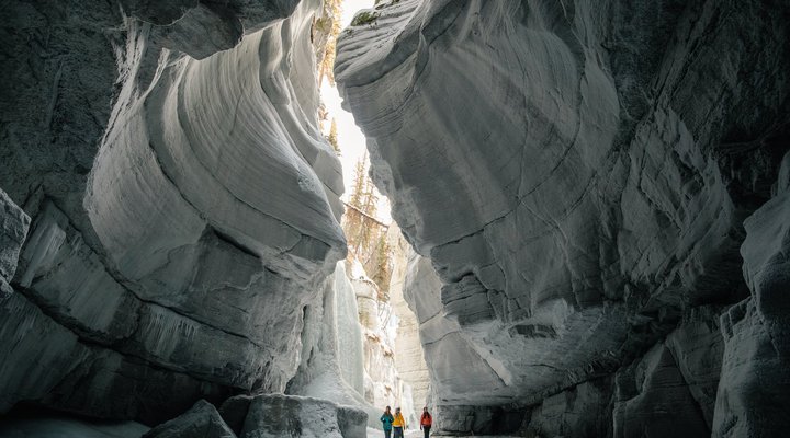 Group Travel to Jasper