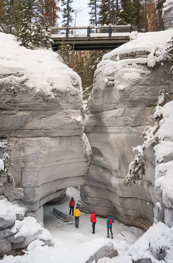 Icewalk_MaligneCanyon-large.jpg