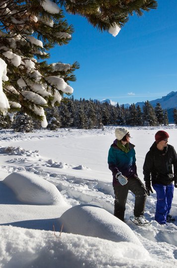 Snowshoe, X-Country Ski & Hike | Tourism Jasper