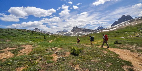JasperNP-Maccarib-Pass-Hikers-Credit-Caroline-Roy-large (1).jpg JasperNP-Maccarib-Pass-Hikers-Credit-Caroline-Roy-large (1).jpg