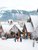 Jasper_Townsite_Winter_CRMikeSeehagel-large.jpg