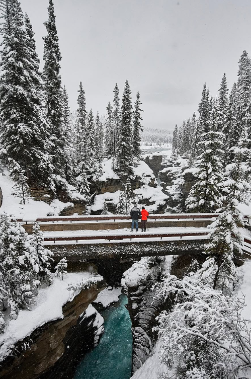 Jasper in January Winter Wonderland.png Jasper in January Winter Wonderland.png