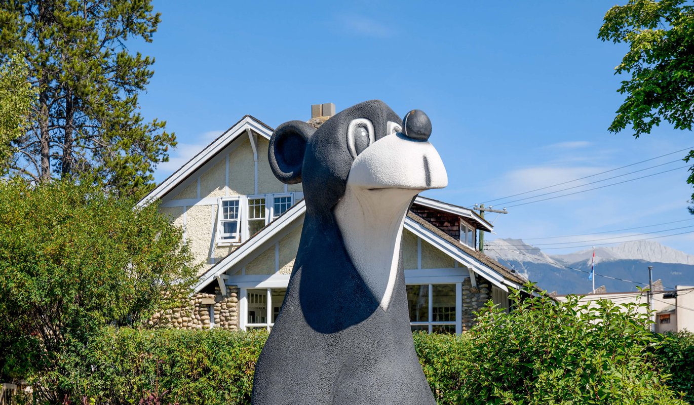 JaspertheBear_OutdoorDowntown (1).jpg JaspertheBear_OutdoorDowntown (1).jpg