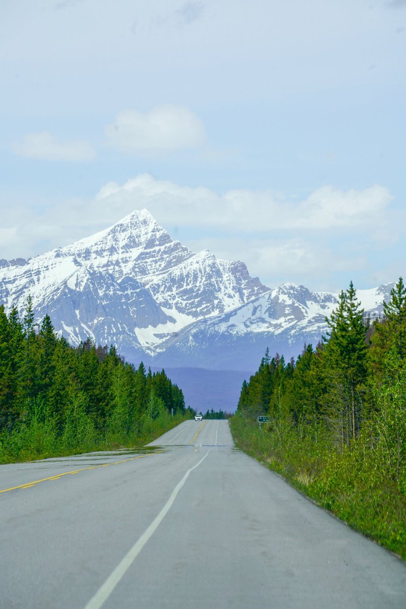 Celina Frisson - Road