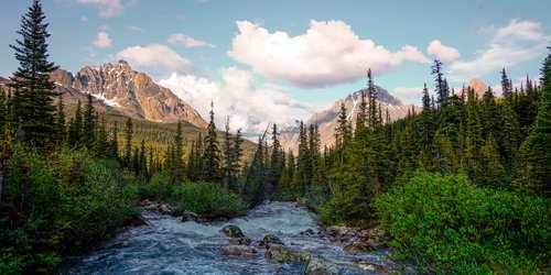 MountainStream_TonquinValley (1).jpg