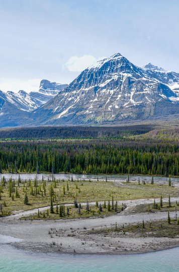 Mountain_IcefieldsParkway-large.jpg