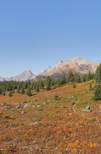 North Boundary Trail Full Stary Summit Mountain Adventures.jpg