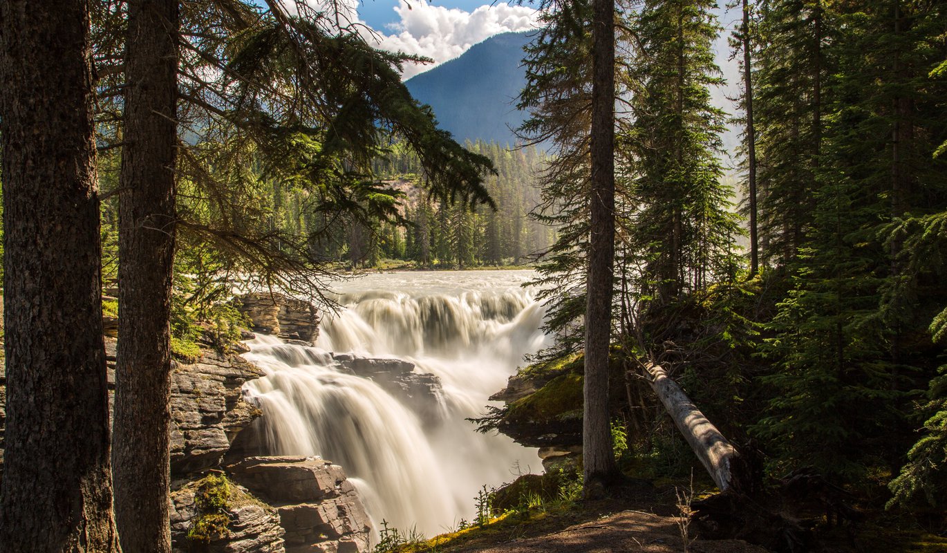 7 Waterfall Wonders of Jasper | Tourism Jasper