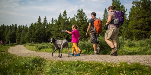 ParksCanada-FamilyandDogMarySchaefferLoop-BenMorin-CR.jpg
