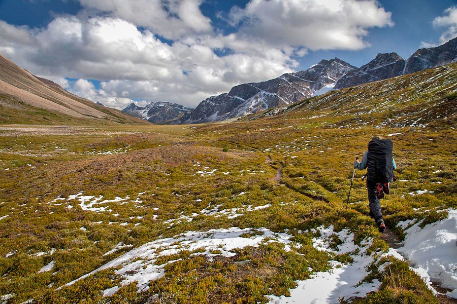 ParksCanada-YoungManandWomanHikingOpalHillsTrail-BenMorin-CR.jpg