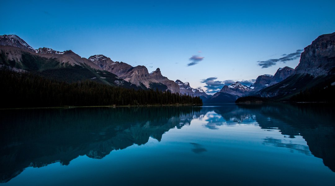 Contact Us Contact Us