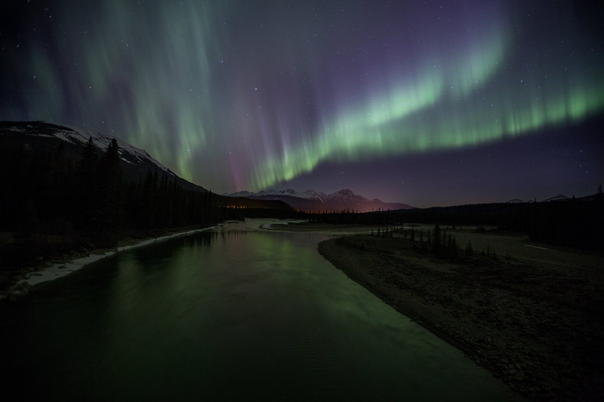 How to see the aurora borealis in Jasper’s dark sky preserve Tourism