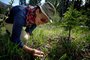 Girl Picking Plant