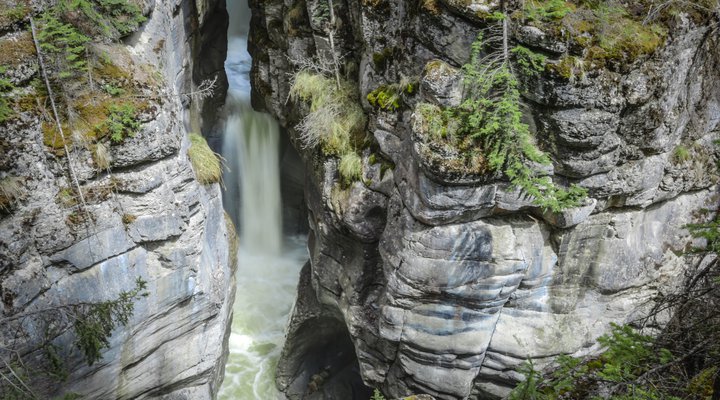 Maligne Canyon Half Day Hike