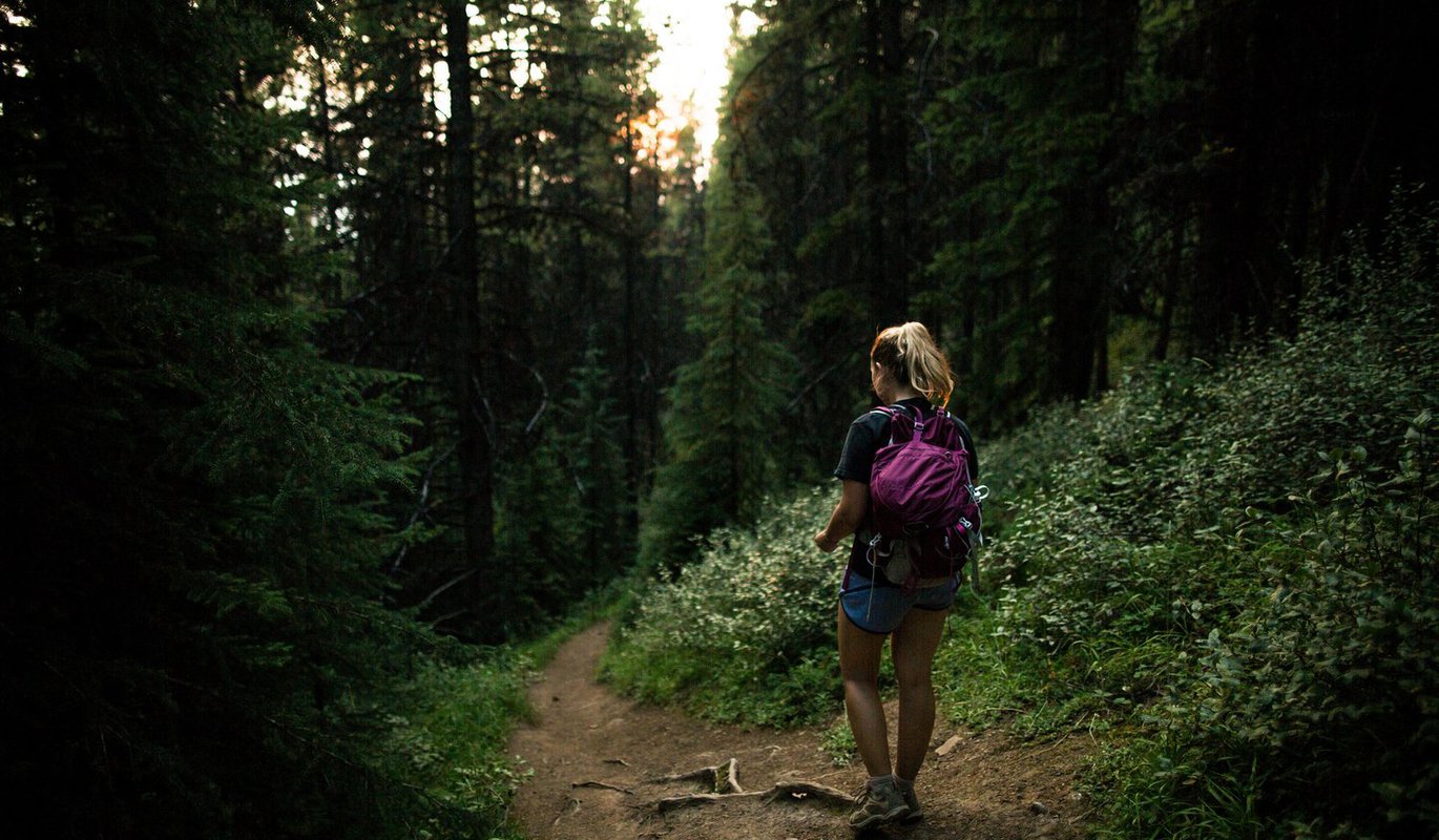 Solo Hiker 2 Solo Hiker 2