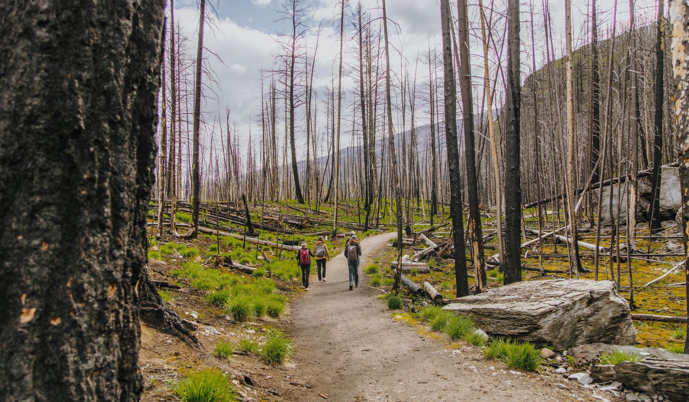 PeakNicJasper_70A1344.jpg