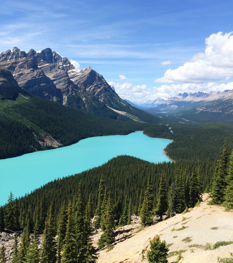 tours from calgary to banff and jasper